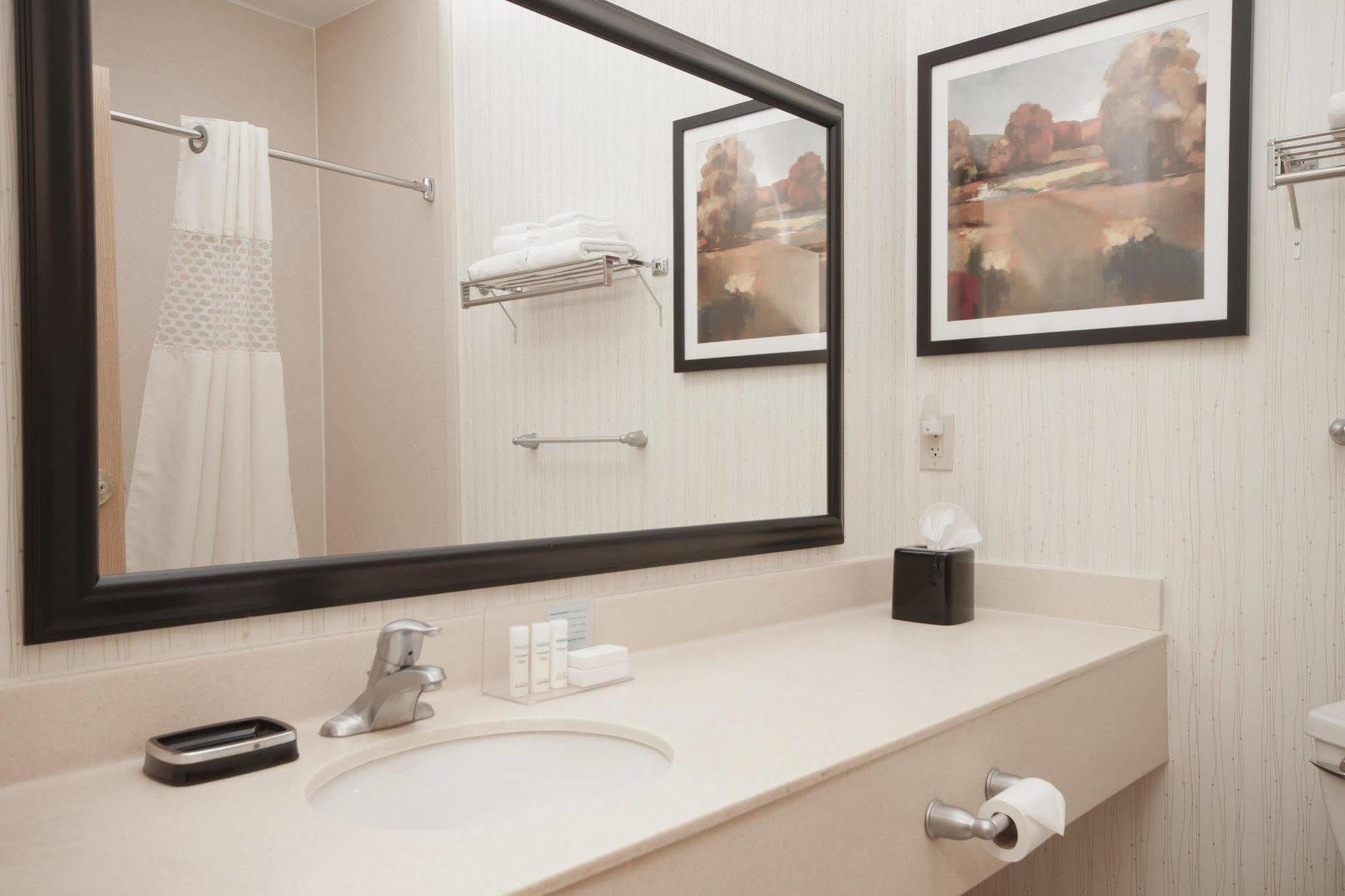 Hotel Hampton Binghamton/johnson Binghamton
